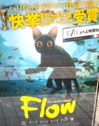 Flow